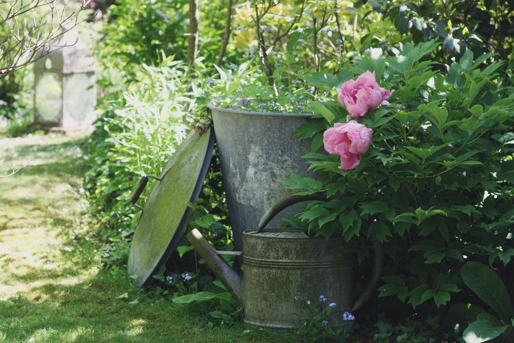 Le Bonheur A La Campagne Bed & Breakfast Lesmont Exterior photo